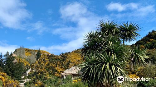 Trotters Gorge Scenic Reserve