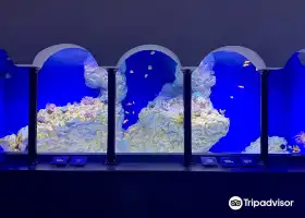 Aquarium of Naples