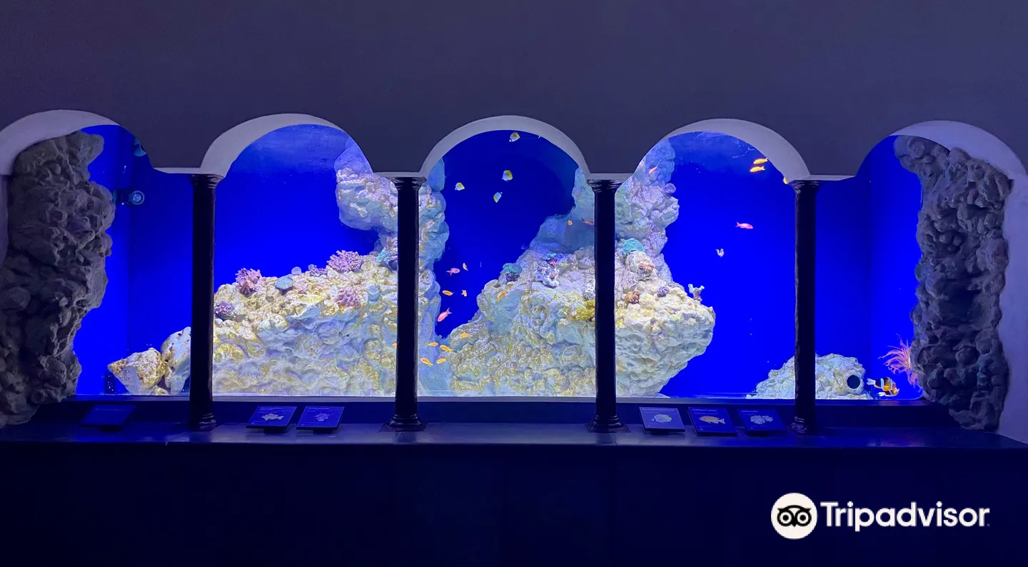 1_Aquarium of Naples