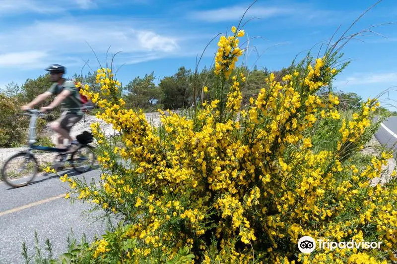 Province Lands Bike Trail