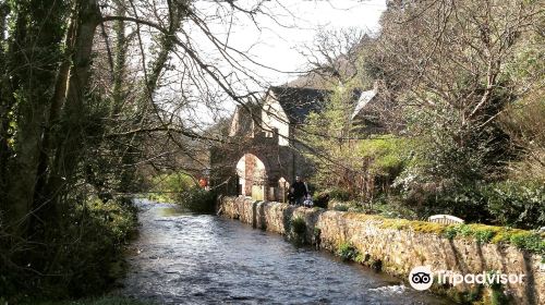 Dunster Working Water Mill