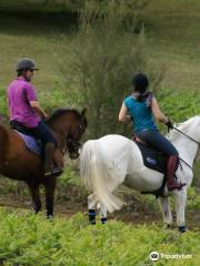 Equine Village by Quinta do Riacho