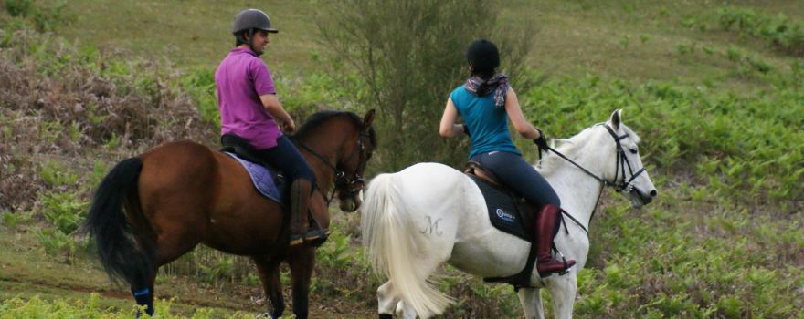 Equine Village by Quinta do Riacho