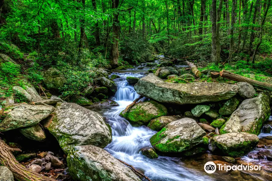 Roaring Fork Motor Nature Trail