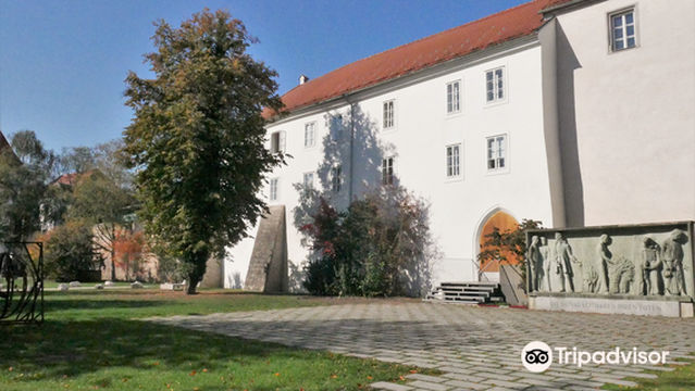 City Museum Wels Minoriten Archaeological