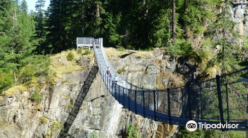 Elk Falls Suspension Bridge