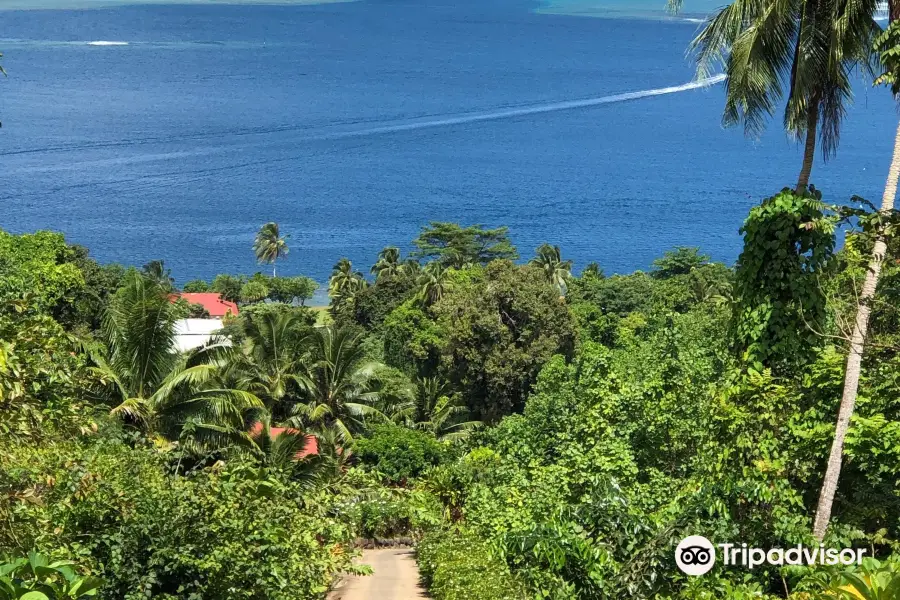 Moorea Tropical Garden