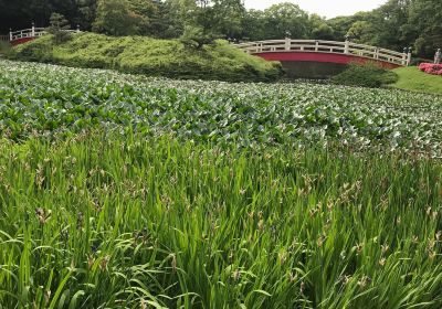 上野台公園