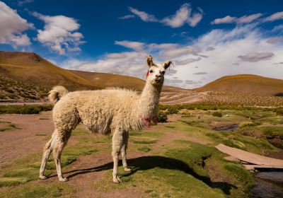 San Pedro de Atacama