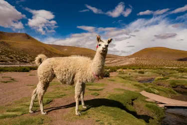 San Pedro de Atacama