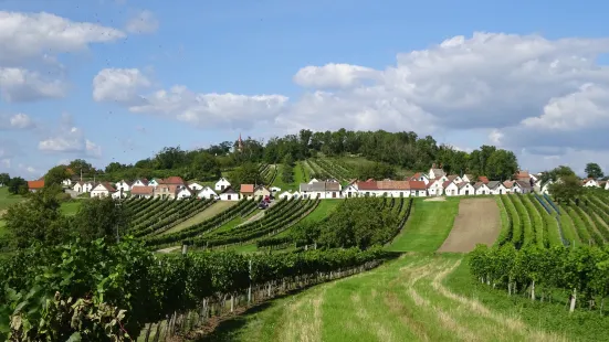 Kellergasse Galgenberg