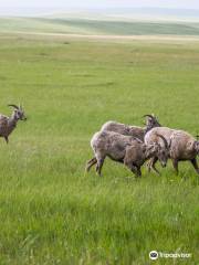 Buffalo Gap National Grassland