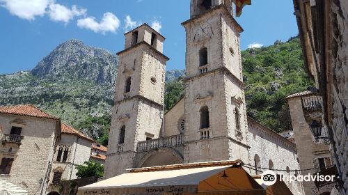 Kotor city walls