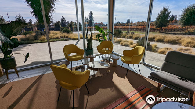 Ashes & Diamonds Winery