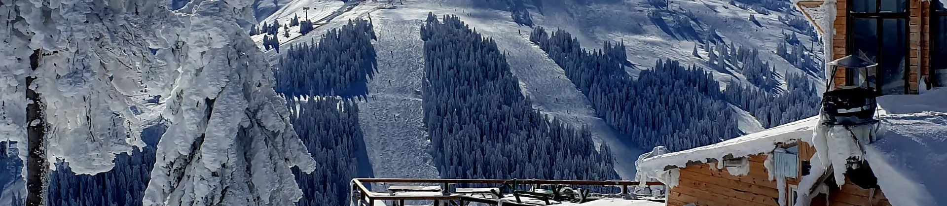 Ski