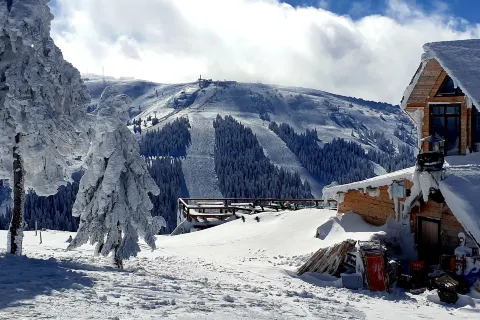 Kopaonik