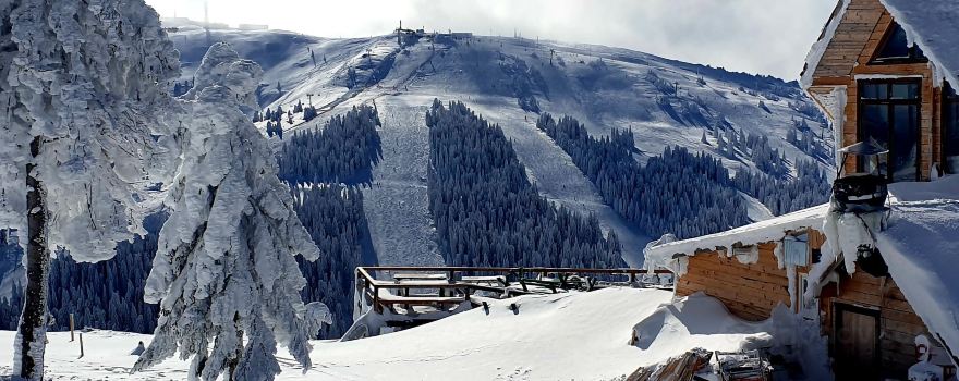 Kopaonik