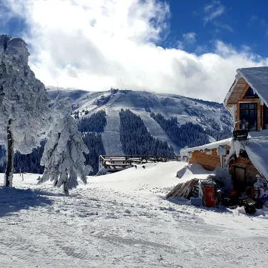 Municipality of Raska