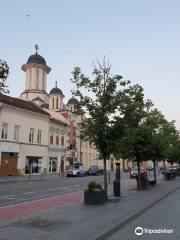 Avenue of Heroes in Cluj-Napoca (B-dul Eroilor)