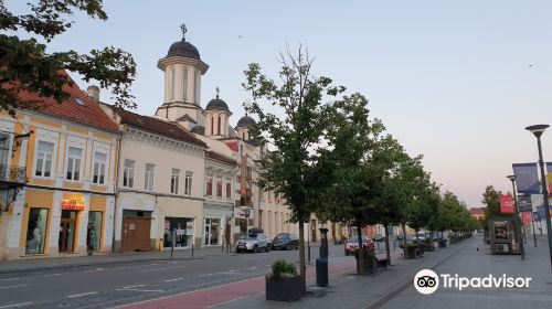 Avenue of Heroes in Cluj-Napoca (B-dul Eroilor)