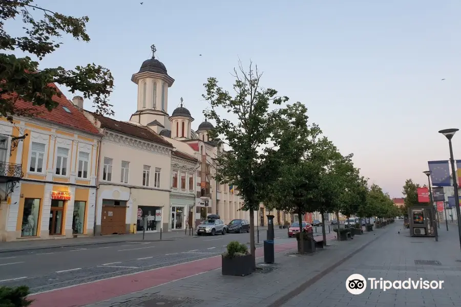 Avenue of Heroes in Cluj-Napoca (B-dul Eroilor)