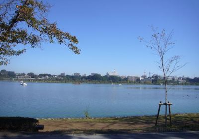 千波湖遊歩道