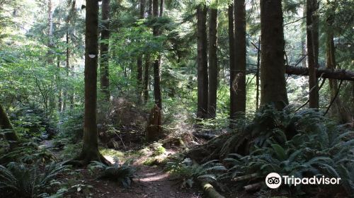 Richard Fenscak Cathedral Tree Trail Trailhead