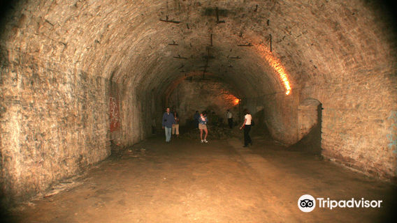 American Legacy Tours