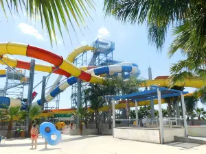 Acquazzurra Acquapark Metaponto (MT)