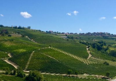 Strada Romantica delle Langhe e del Roero