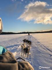 Hemsedal Huskies