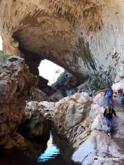 Bosque nacional del Tonto