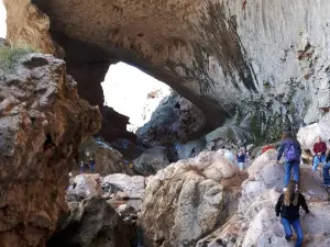 Bosque nacional del Tonto