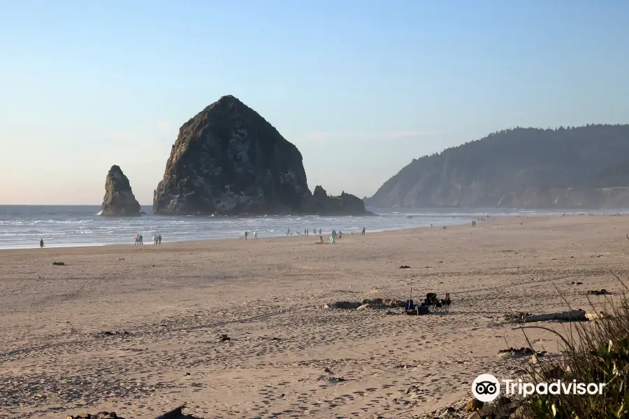 Tolovana Beach State Recreation Site