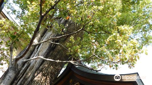 Hochigai Shrine