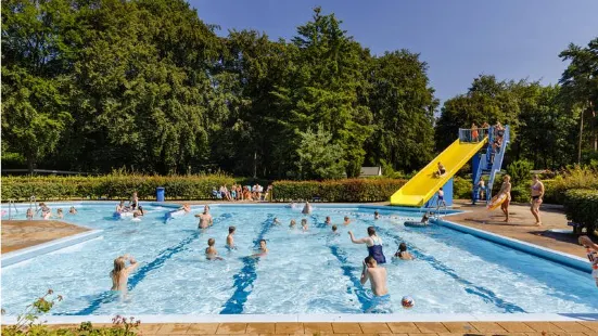 RCN Vakantiepark het Grote Bos - Camping en bungalowpark