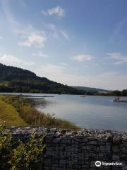 Old Moravia Lagoon