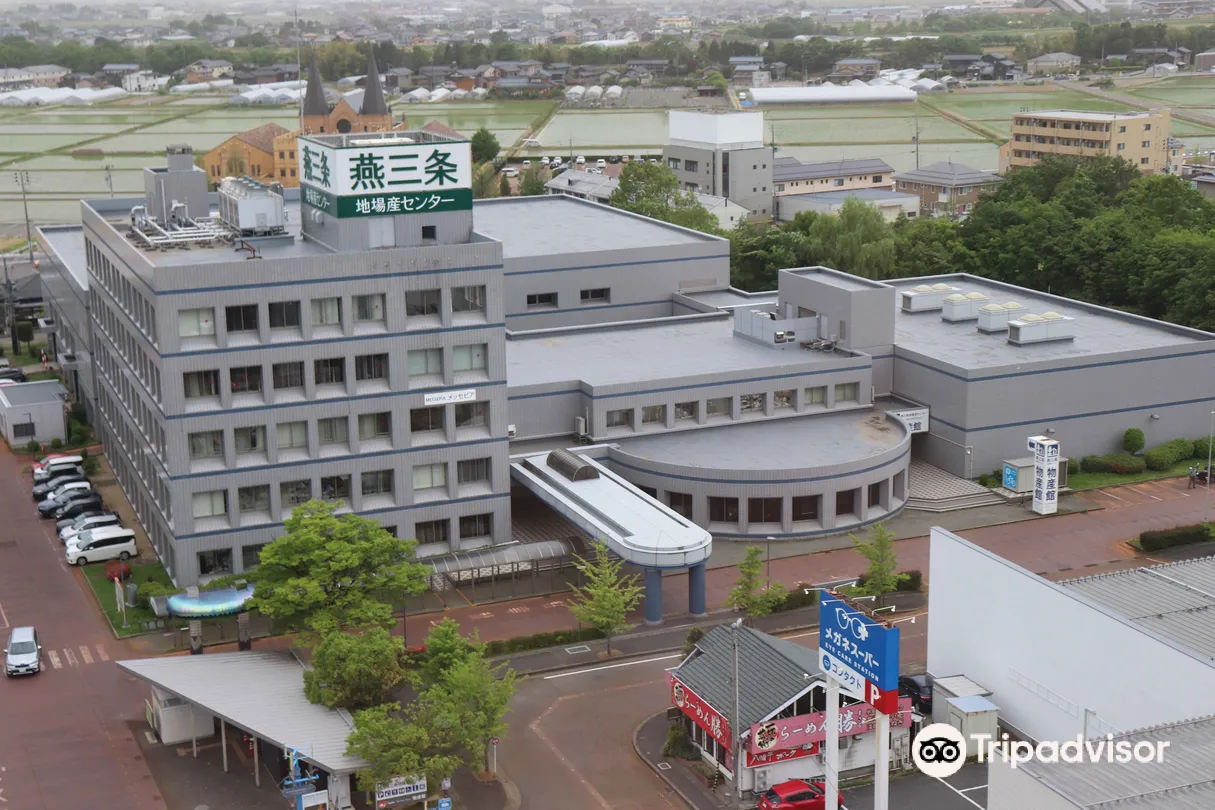 5_Roadside Station TSUBAMESANJO Regional Products Center