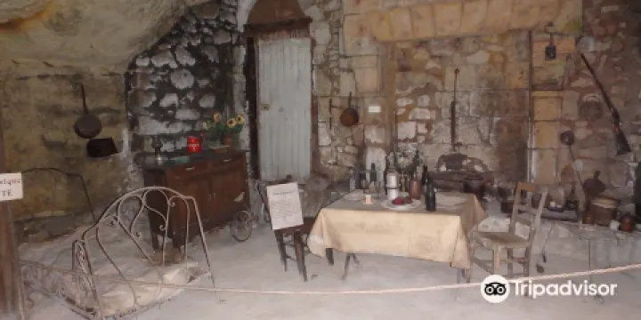 La Cave Vivante du Champignon