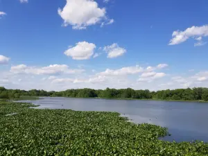 John Heinz National Wildlife Refuge at Tinicum