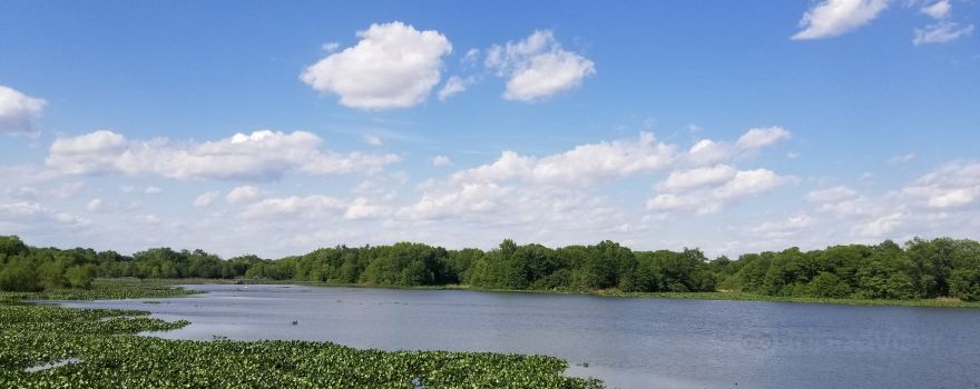John Heinz National Wildlife Refuge at Tinicum