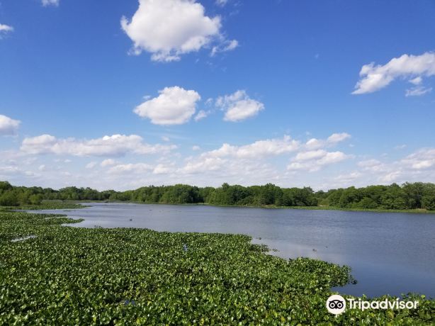 John Heinz National Wildlife Refuge at Tinicum