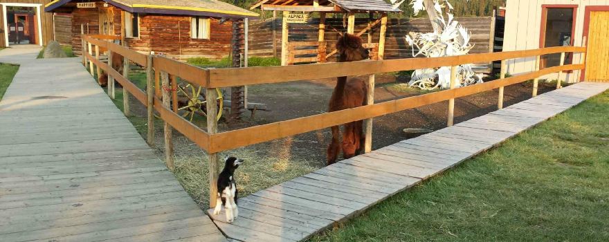 Caribou Crossing Trading Post