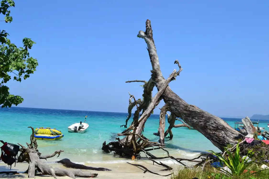Hotels near Elephant Beach