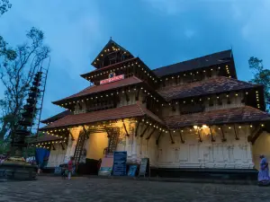 VADAKKUMNATHAN TEMPLE GROUND