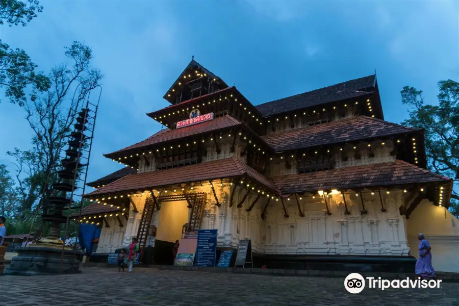 VADAKKUMNATHAN TEMPLE GROUND