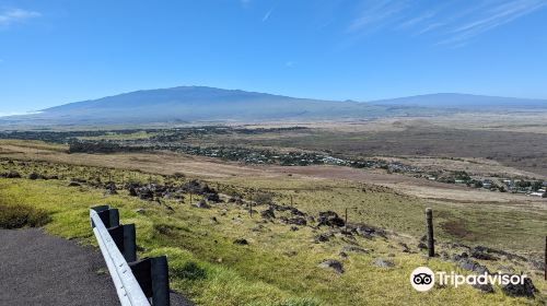 Kohala Mountain Rd