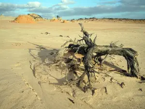 Willandra Lakes Region