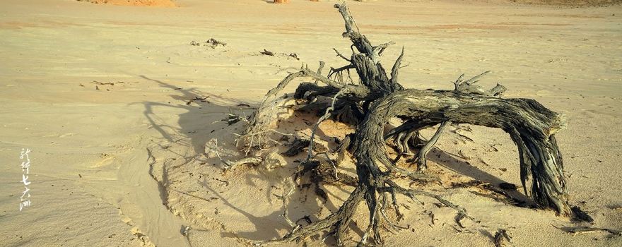 Willandra Lakes Region