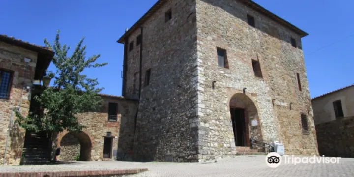 Antiquarium di Poggio Civitate Museo Archeologico